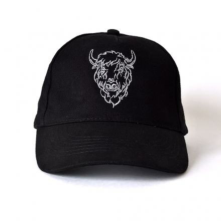 кепка с эмблемой